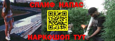 стафф Краснодар