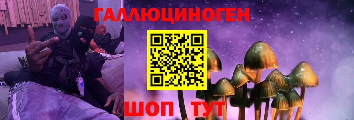Галлюциногенные грибы MAGIC MUSHROOMS  Вход с VPN  наркота  Калач-на-Дону 